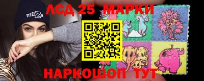 гидропоника Можайск