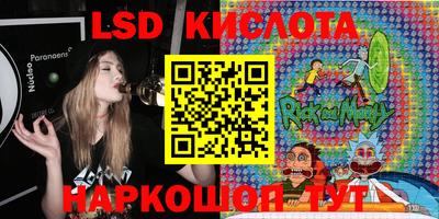 стаф Можга