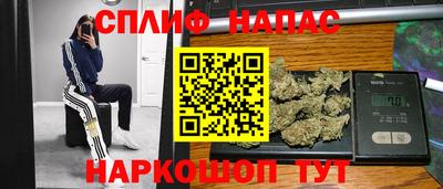 стаф Можга