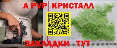 стаф Можга