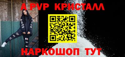 стаф Можга