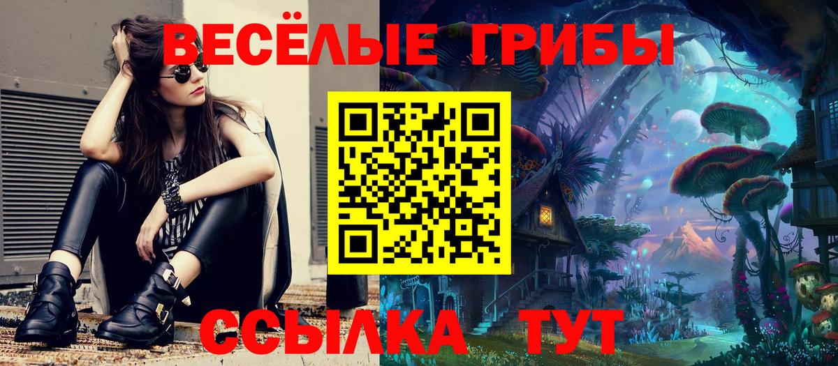 Псилоцибиновые грибы ЛСД  Вход с VPN  Сунжа 